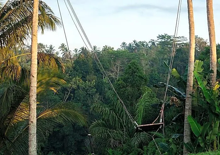 Hotel Bobocabin Ubud,