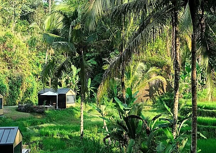 Bobocabin Ubud, Hotel 3*